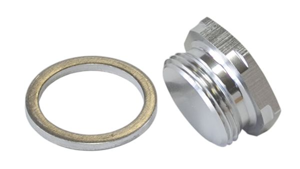 Holley Fuel Bowl Inlet Blank Plug  Silver finish, 7/8"-20