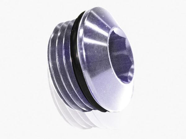 Slimline ORB Port Plug -20AN  Silver Finish