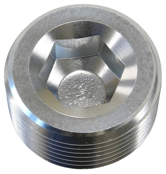 NPT Plug 1/2"  Silver Finish
