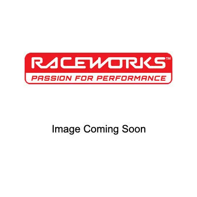 Raceworks 2.5L Surge Tank Single/Dual Outlet Black ALY-158BK