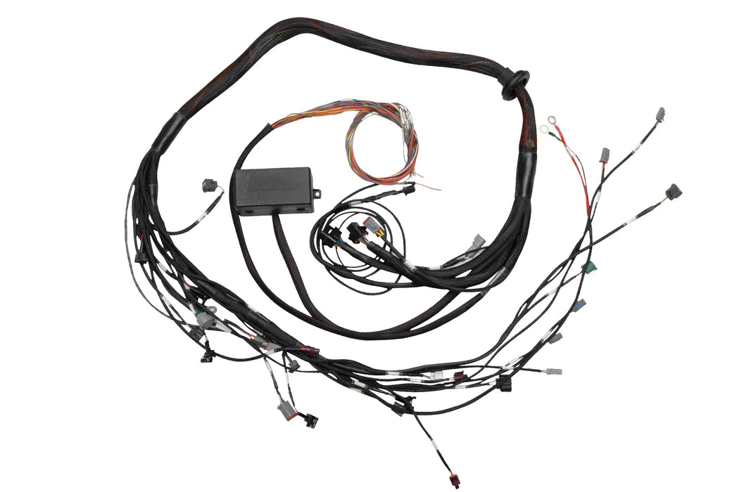 Haltech Elite 2000/2500 Toyota 2JZ Terminated Engine Harness  HT-130318