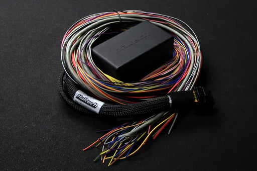 Haltech Elite 550 Premium Universal Wire-in Harness  HT-140404