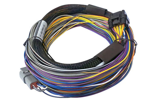 Haltech Elite 750 Basic Universal Wire-in Harness  HT-140602