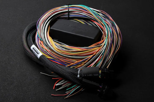 Haltech Elite 2500 & 2500 T Premium Universal Wire-in Harness  HT-141304