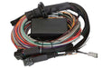 Haltech Elite 2500 & 2500 T Premium Universal Wire-in Harness - 3M  HT-141306