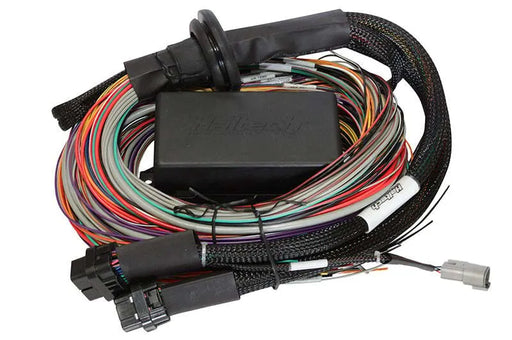 Haltech Elite 2500 & 2500 T Premium Universal Wire-in Harness - 3M  HT-141306
