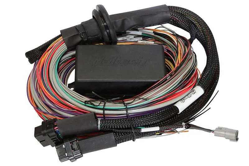 Haltech Elite 2500 & 2500 T Premium Universal Wire-in Harness - 3M  HT-141306