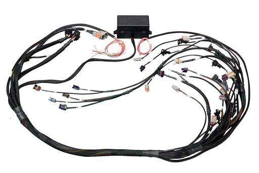 Haltech Elite 2000/2500 GM GEN IV LSx (LS2/LS3 etc) non DBW Terminated Harness  HT-141365