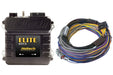 Haltech Elite 550 + Basic Universal Wire-in Harness Kit  HT-150402