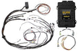 Haltech Elite 1500 + Mazda 13B S4/5 CAS with Flying Lead Ignition Terminated Harness Kit  HT-150975
