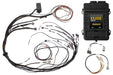 Haltech Elite 1500 + Mazda 13B S6-8 CAS with Flying Lead Ignition Terminated Harness Kit  HT-150985