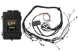 Haltech Elite 2500 + Toyota 2JZ IGN-1A Terminated Harness Kit  HT-151355