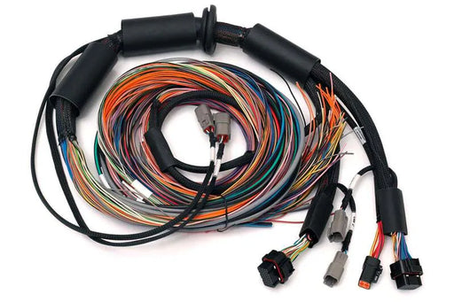 Haltech Nexus R3 Universal Wire-in Harness - 2.5m (8')  HT-183200