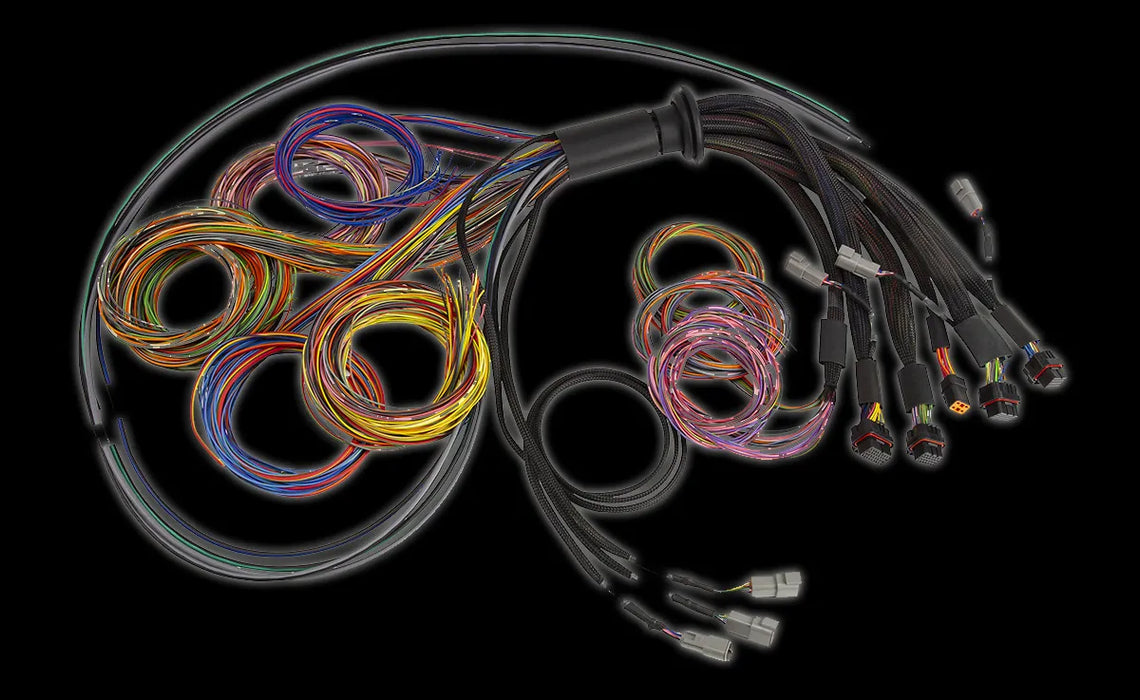 Haltech NEXUS R5 Universal Wire-In harness  HT-185200