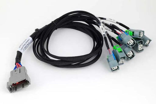 Haltech Nexus Universal V8 - GT150 (USCAR) Injector Primary Breakout  HT-186002
