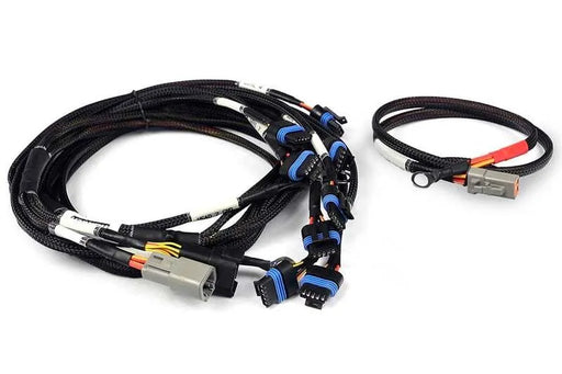 Haltech Nexus Universal V8 - IGN-1A Ford Harness  HT-186061