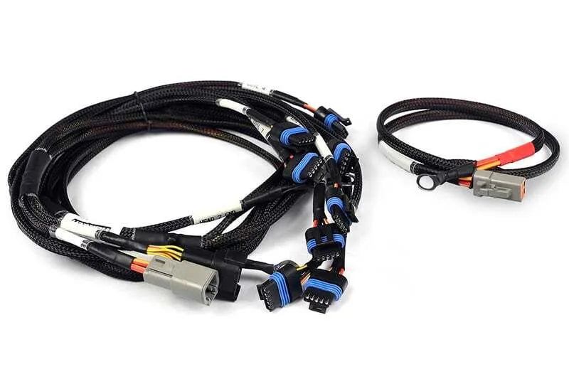 Haltech Nexus Universal V8 - IGN-1A Ford Harness  HT-186061