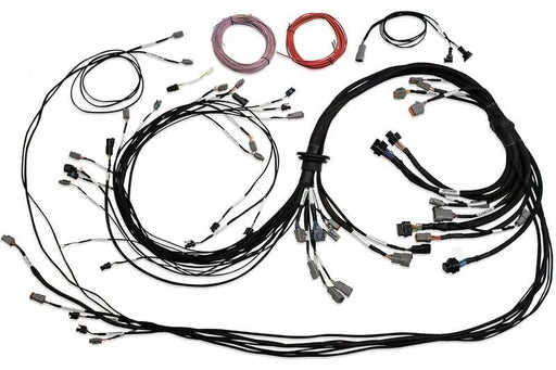 Haltech Universal V8 Terminated Engine Harness for Nexus R5 VCU  HT-186200