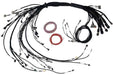 Haltech Nexus R5 LSx Non DBW Terminated Harness  HT-186206