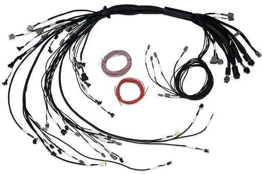 Haltech Nexus R5 LSx Non DBW Terminated Harness  HT-186206