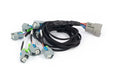 Haltech Nexus Rebel LS - LS EV6 Injector Sub-Harness  HT-186502