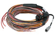 Haltech PD16 Flying Lead Harness - 5M  HT-188000