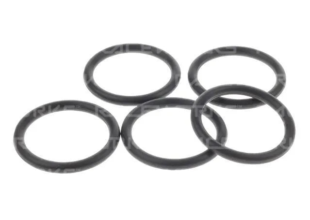 Raceworks E85 Safe O-Rings An-20 5Pk RWF-178-20