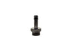 Raceworks An-12 ORB To 1/2'' BaRB RWF-414-12-08BK