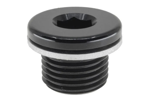 Raceworks M12X1.5 In Hex Plug With Washer RWF-814-M12-1BK