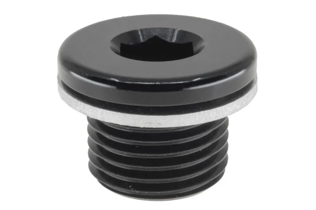 Raceworks M14X1.5 In Hex Plug With Washer RWF-814-M14-1BK