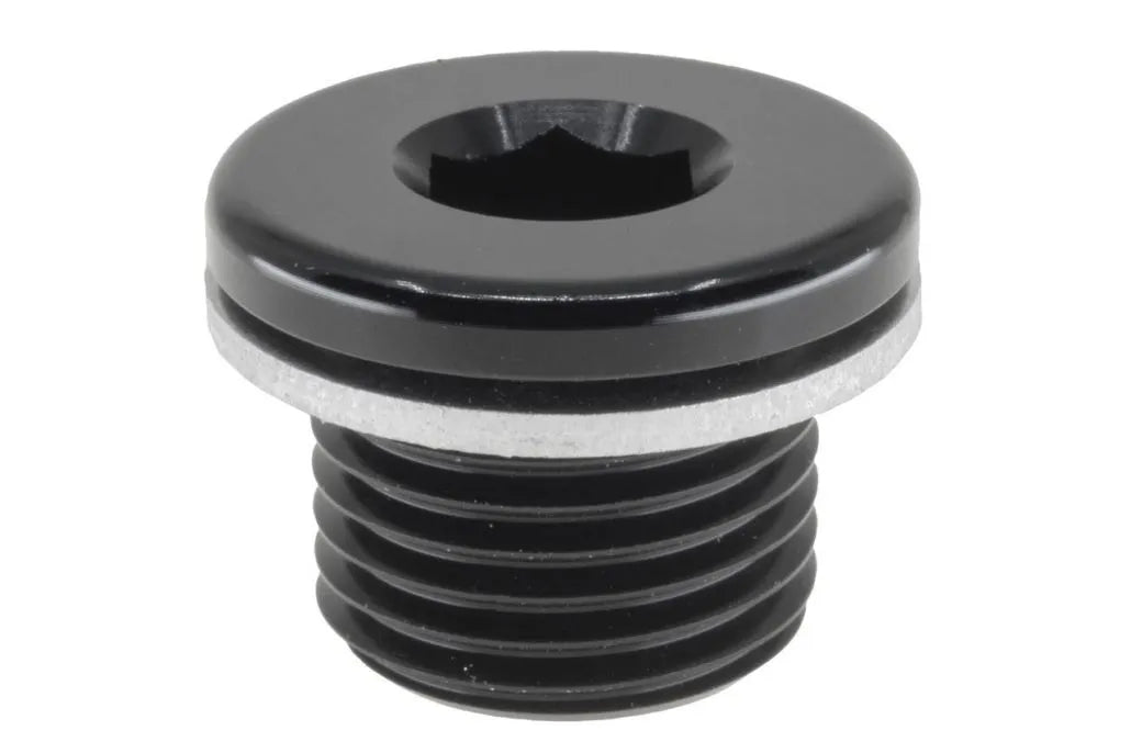 Raceworks M16X1.5 In Hex Plug With Washer RWF-814-M16-1BK