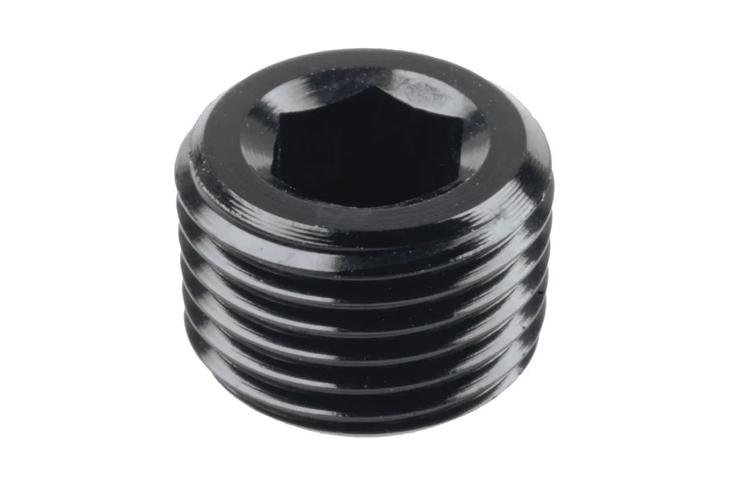 Raceworks NPT Plug 1/4In RWF-932-04BK