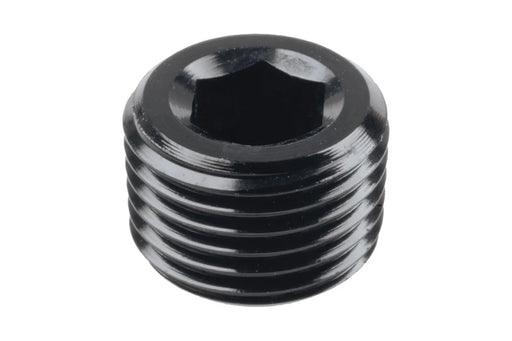 Raceworks NPT Plug 1/4In RWF-932-04BK