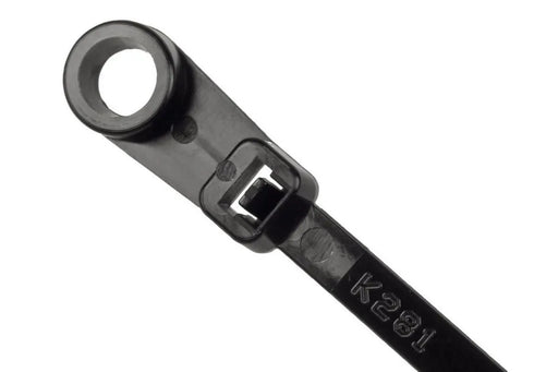 Raceworks Cable Tie With Mounting Head Pk100 205mm VPR-006