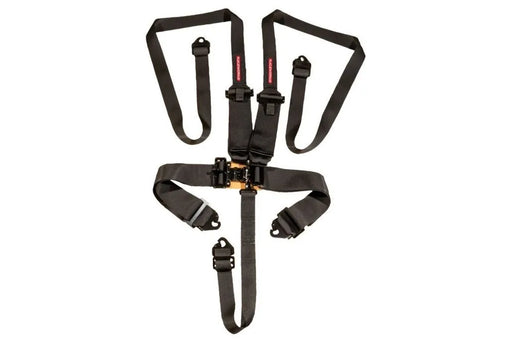 Raceworks Black 5Point Sfi Latch & Link Harness, Hans 2-3In Belts, Snap Hook Ends VPR-110BK