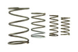 Turbosmart GenV WG60 Spring Replacement Kit